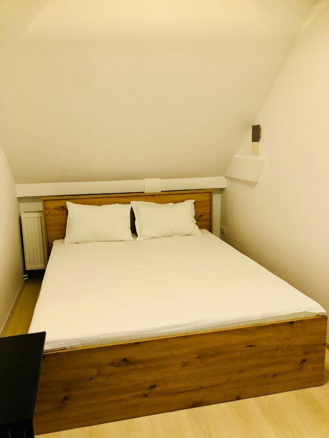 Ultra-Central Modern And Big Apartments In Union Square U41-U44 Timisoara Bagian luar foto