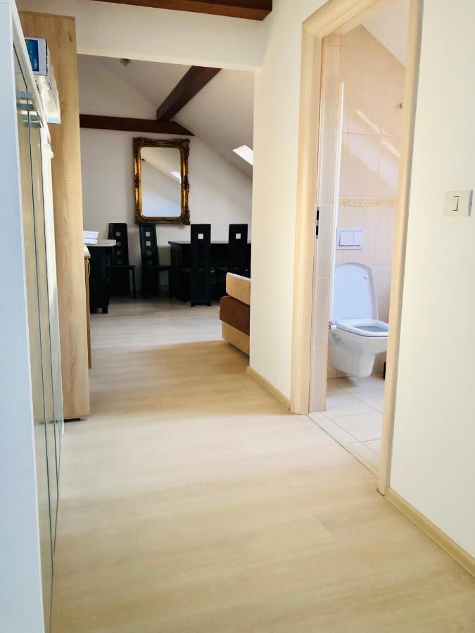Ultra-Central Modern And Big Apartments In Union Square U41-U44 Timisoara Bagian luar foto