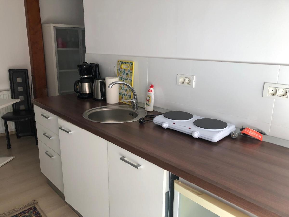 Ultra-Central Modern And Big Apartments In Union Square U41-U44 Timisoara Bagian luar foto