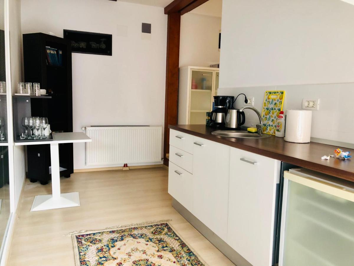 Ultra-Central Modern And Big Apartments In Union Square U41-U44 Timisoara Bagian luar foto