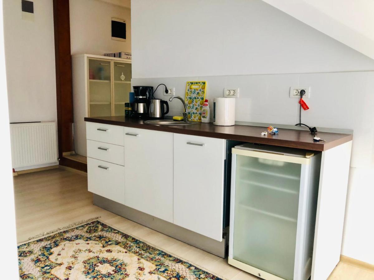 Ultra-Central Modern And Big Apartments In Union Square U41-U44 Timisoara Bagian luar foto
