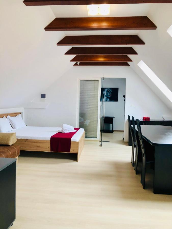 Ultra-Central Modern And Big Apartments In Union Square U41-U44 Timisoara Bagian luar foto