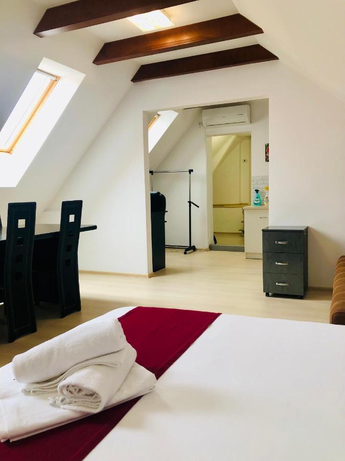 Ultra-Central Modern And Big Apartments In Union Square U41-U44 Timisoara Bagian luar foto